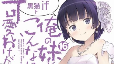 俺の彼女と幼馴染が修羅場すぎる 第16巻までの感想 Mangaism